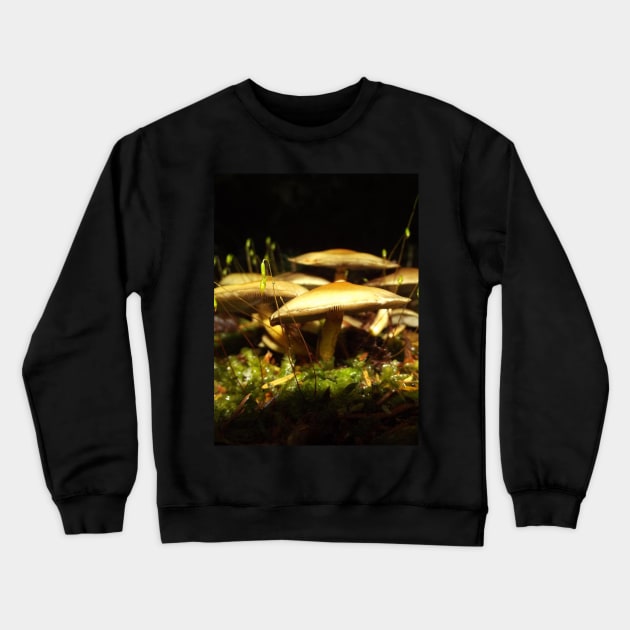 Mushroom Nature Photography Pacific Northwest Crewneck Sweatshirt by starcraft542